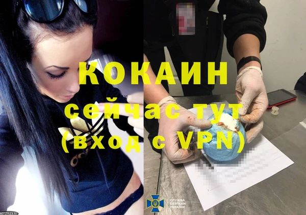 МДПВ Рославль