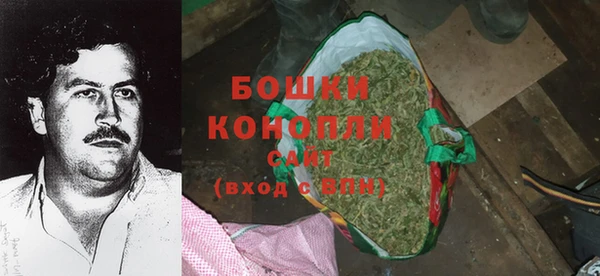 МДПВ Рославль