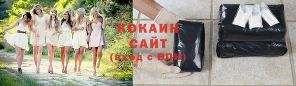 МДПВ Рославль